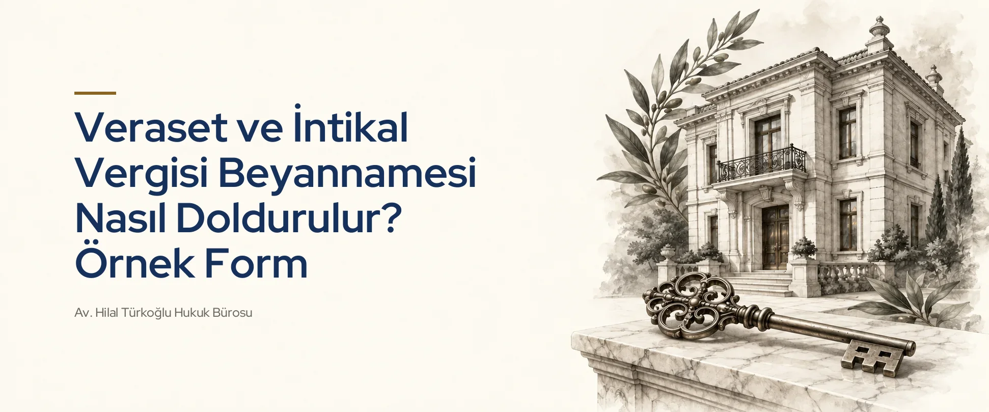 Veraset ve İntikal Vergisi Beyannamesi Nasıl Doldurulur? Örnek Form